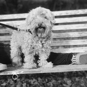 Meet your Posher, Haley